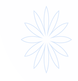 开运app官方网站